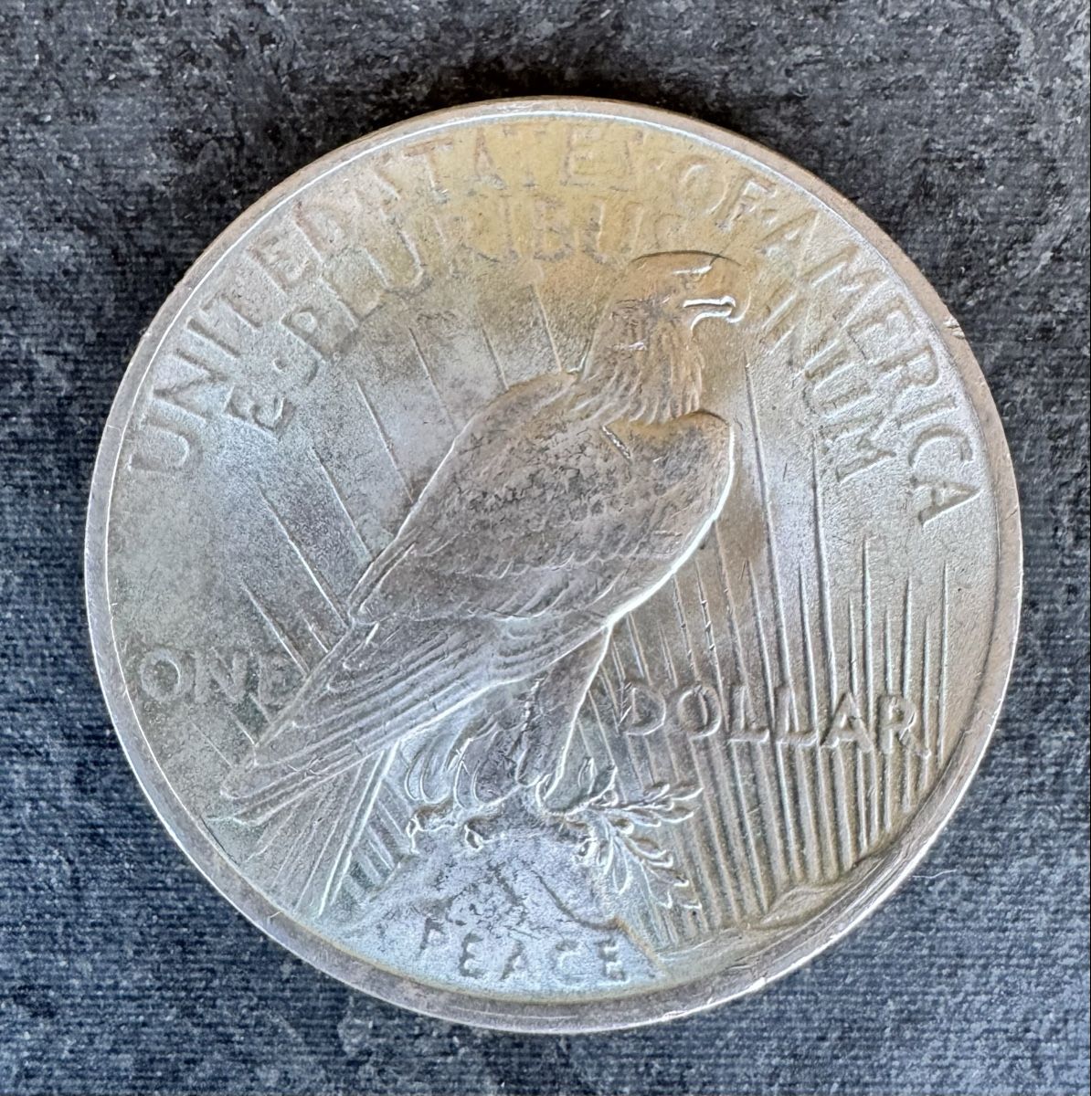 Tutti le monete: US Peace Dollar 1923 – Usato da Meilen venduto da coins4sale 1