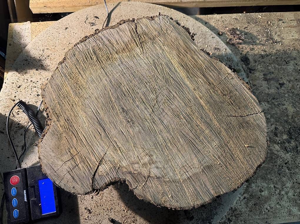 Articles en bois: Olivenholz Baumscheibe K3 – D'occasion à Buus par macipioji 1