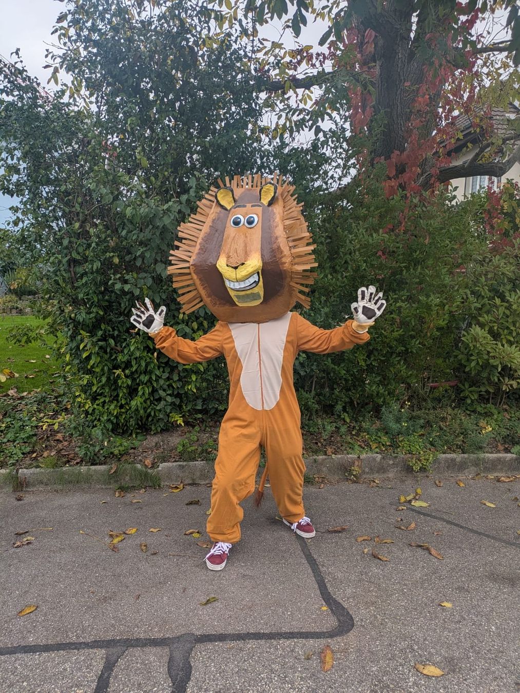 Costumi: Alex aus Madagascar Fasnachtskostüm – Usato da Gerlafingen venduto da Remo96