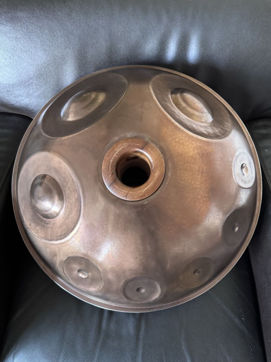 Strumenti musicali: Handpan Handromeda F2 Pygmy 17 – Usato da Luzern venduto da Stueba 2
