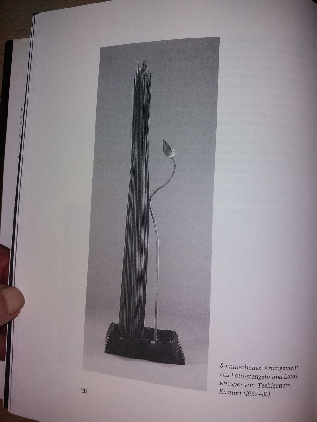 Libri: FASZINATION Ikebana japan – Usato da Welschenrohr venduto da Regool 1