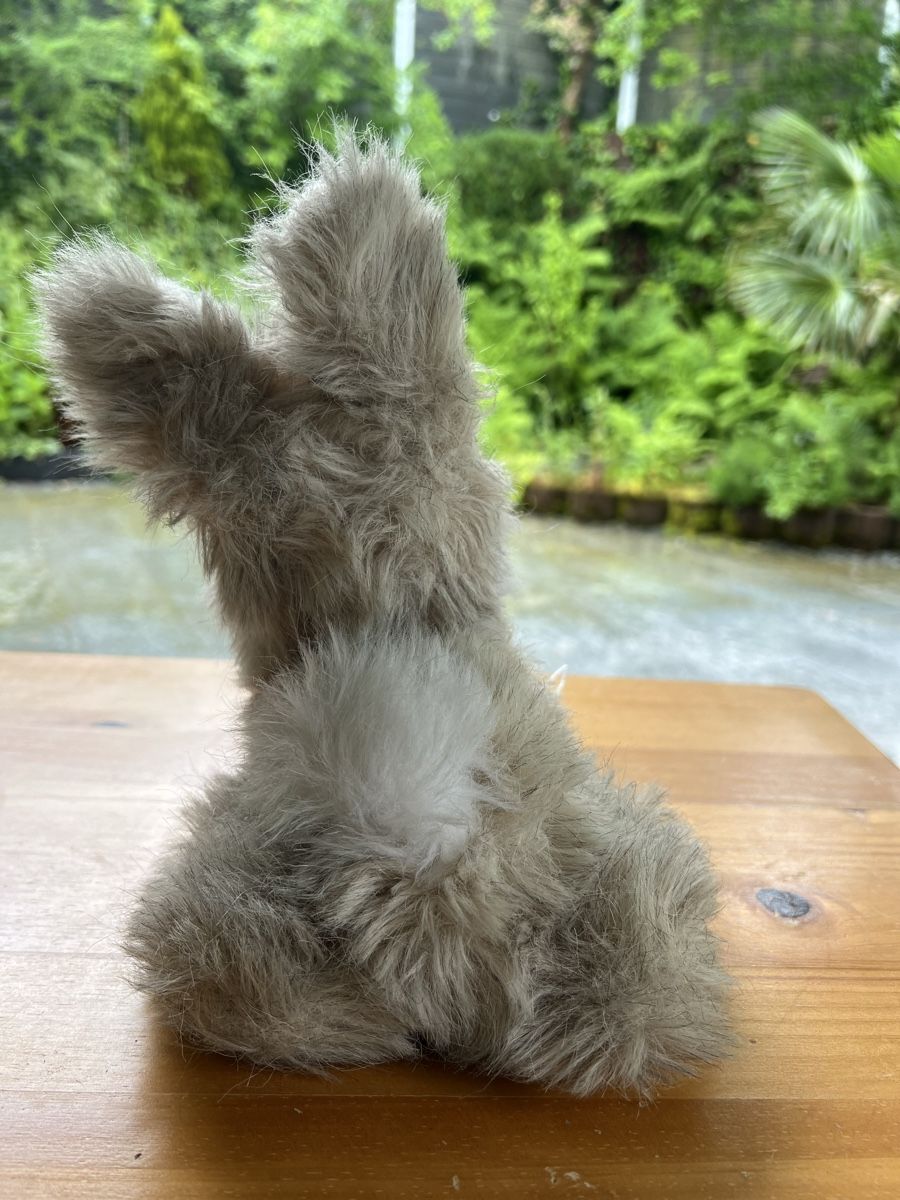 Steiff Giocattoli: Steiff Teddy Hase – Usato da Pfeffingen venduto da Jbieli 4