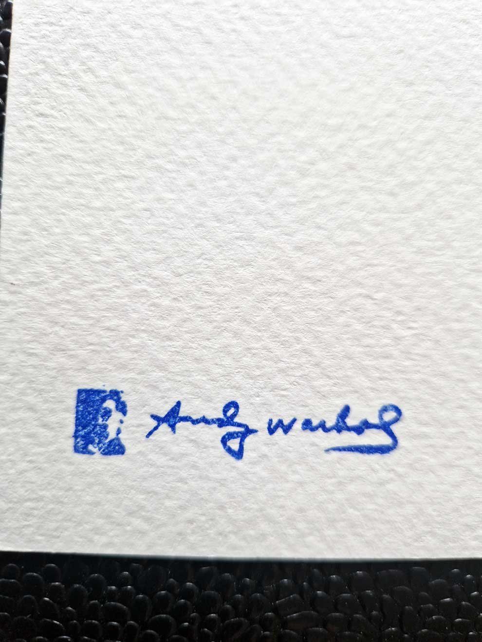 Grafiken & Lithographien: Andy Warhol Litographie 35 x 50 cm – Neu (gemäss Beschreibung) aus Thun von abratrix 4