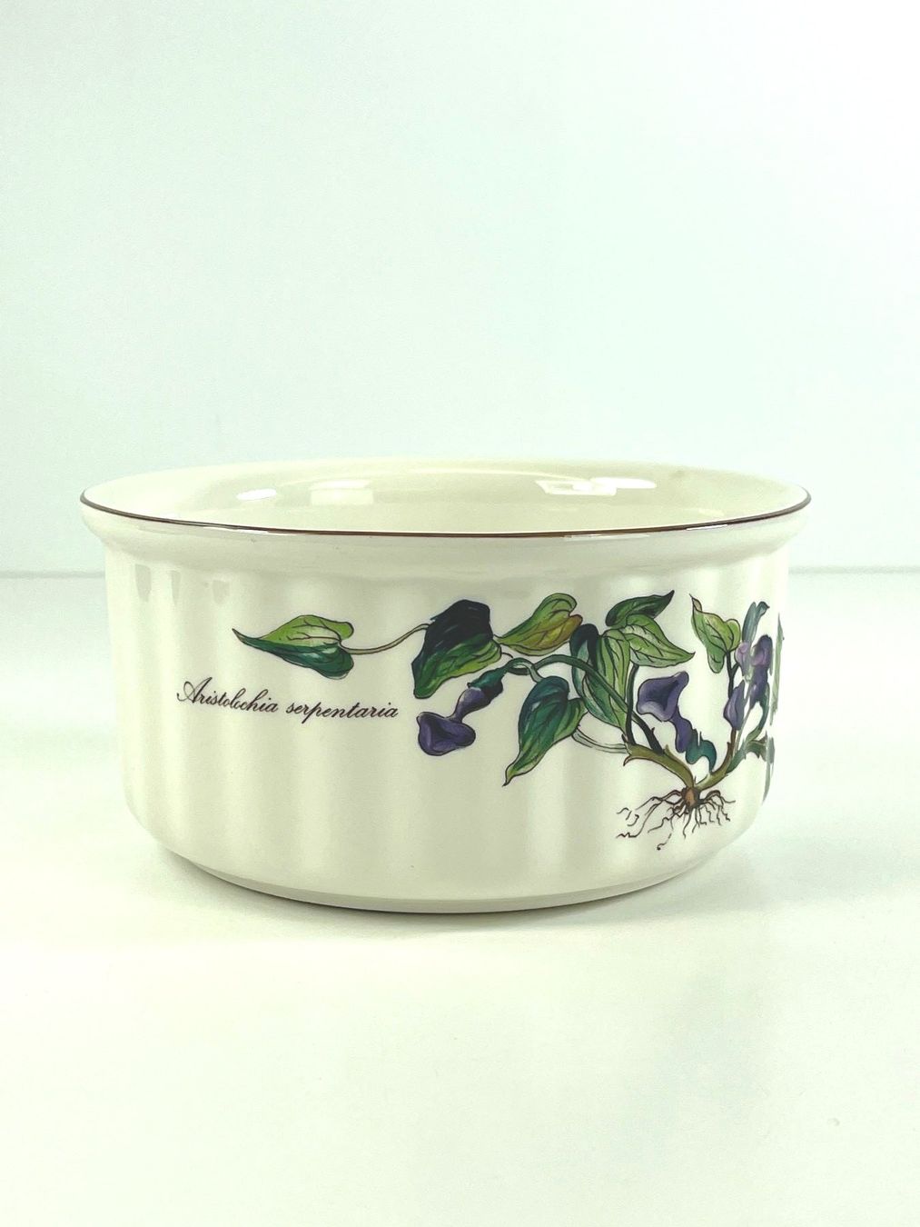 Villeroy & Boch Backformen: VILLEROY & BOCH Botanica Auflaufform 924/3 – Gebraucht aus Zürich von Arche_Brockenhaus 1