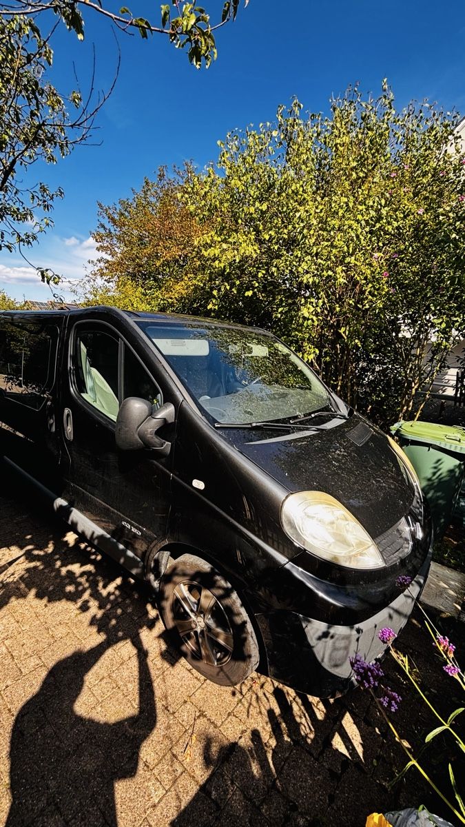 Renault Veicoli commerciali: Renault Trafic 2011 2.5dci – Usato da Frauenfeld venduto da luc_v2k8