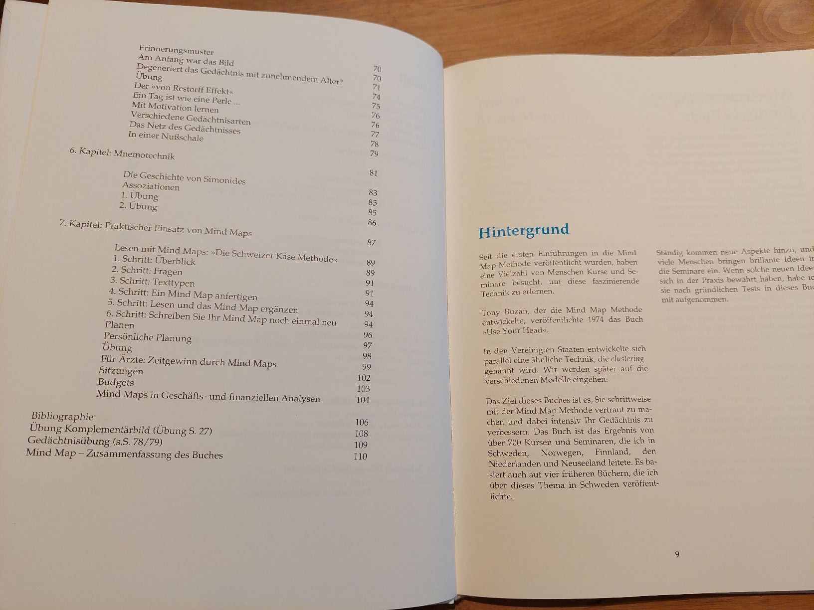 Libri: Mind Mapping und Gedächtnistraining - Top Zustand! – Usato da Brunnen venduto da Livianda 3