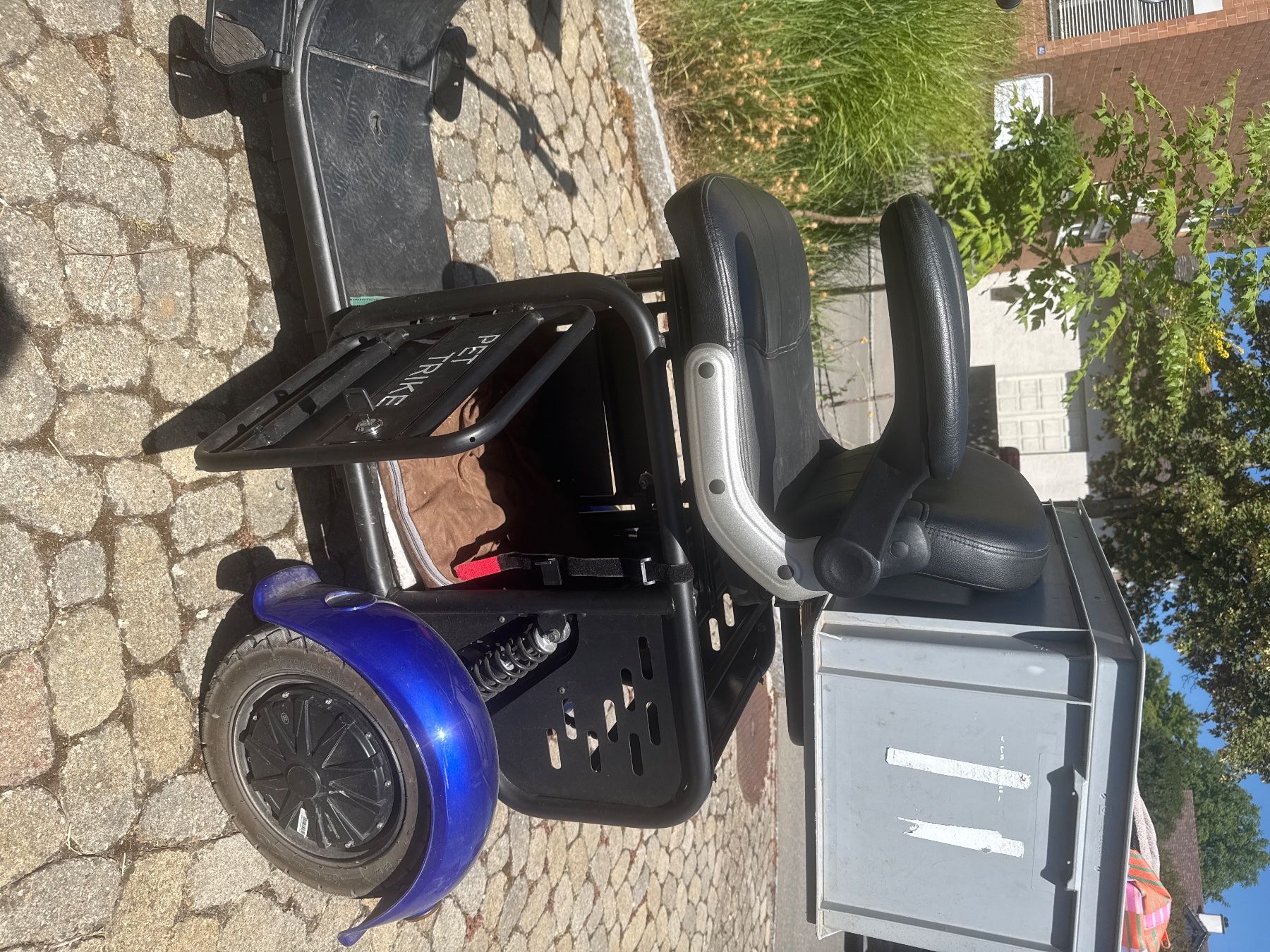 Veicoli elettrici: Pet Trike Elektro – Usato da Hallau venduto da bei_9rdb 3