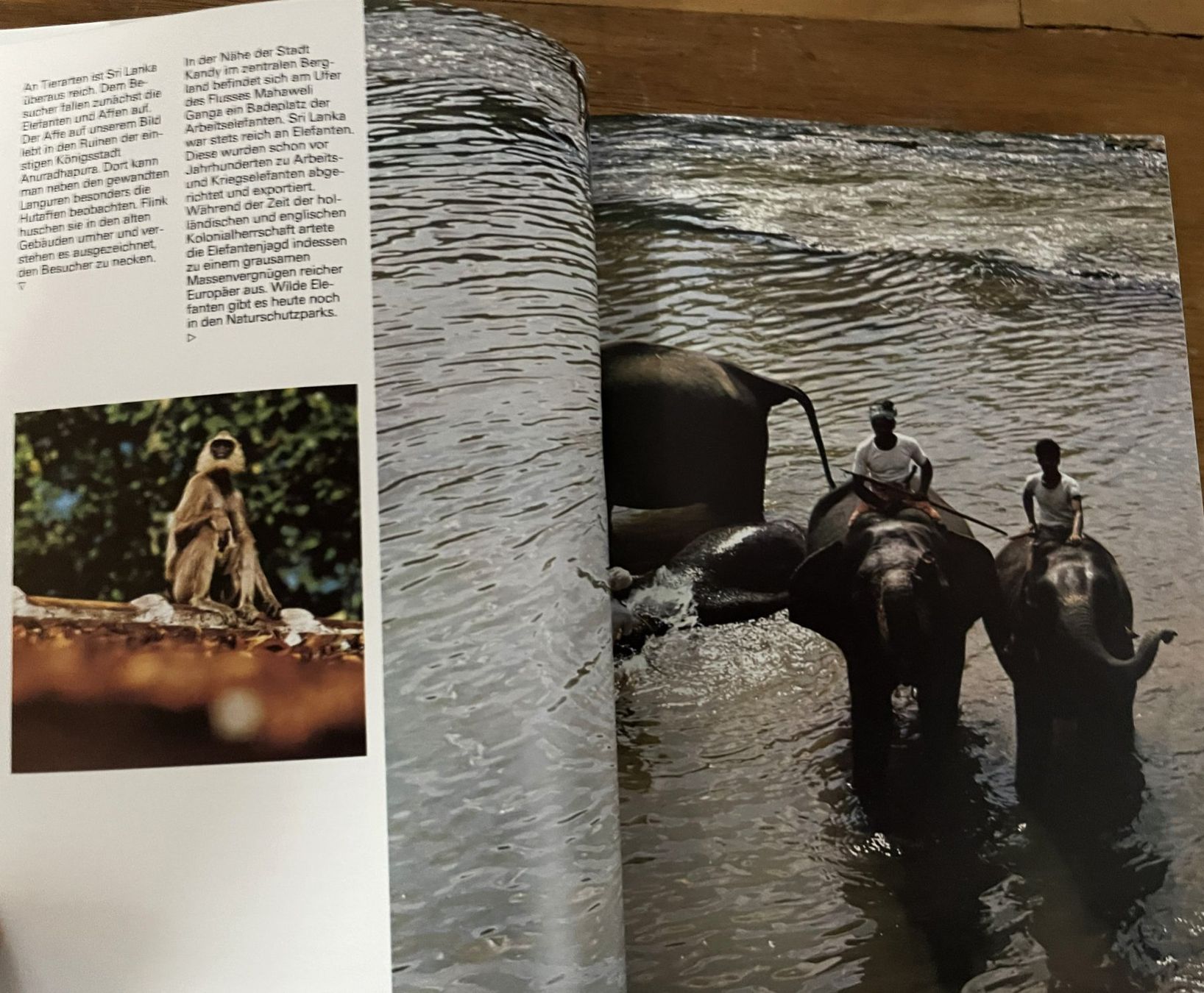 Libri: Silva Verlag, Ceylon Sri Lanka , 1977 – Usato da Oftringen venduto da Vucki 4