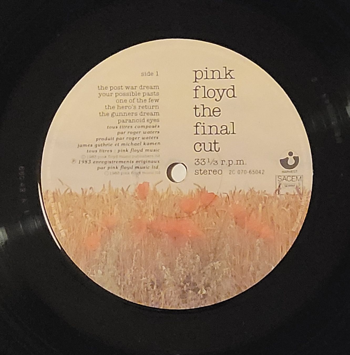 Dischi in vinile: Pink Floyd – The Final Cut – Usato da Zürich venduto da Avd 8