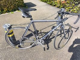Klein Quantum Pro Renner in einem Superzustand zu verkaufen