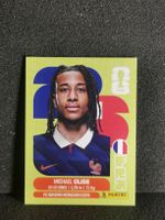 Panini Wm 2026 Sticker :Michael Olise Fra 14