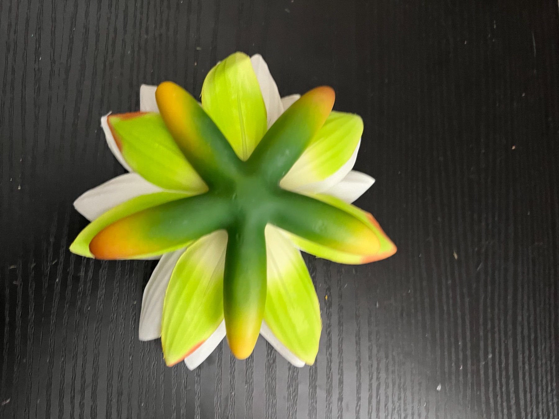Toutes les décorations: Lotusblume Deko Weiss – Neuf (Voir description) à Wittenbach par Xastridx 1