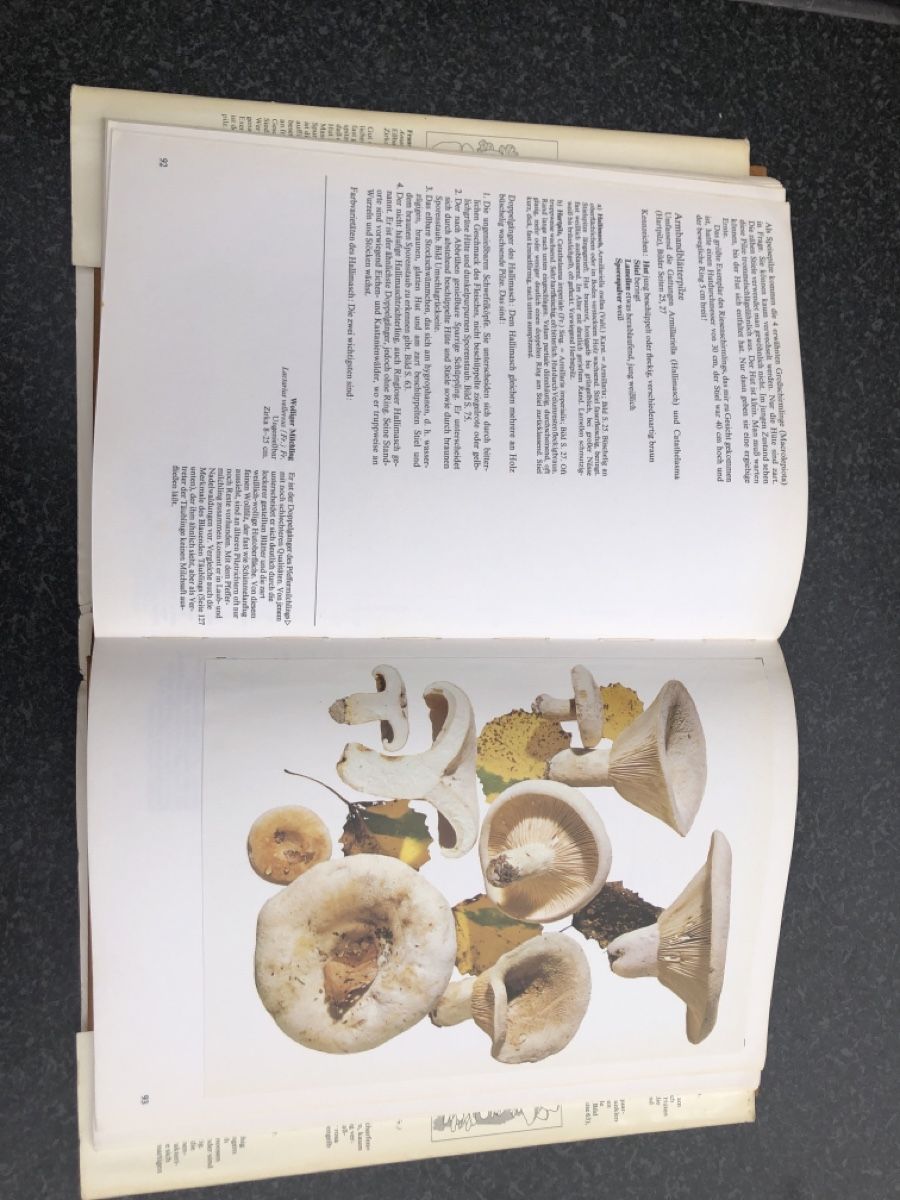 Libri: Pilze Buch Band 1 – Usato da Effretikon venduto da erbaeff 2