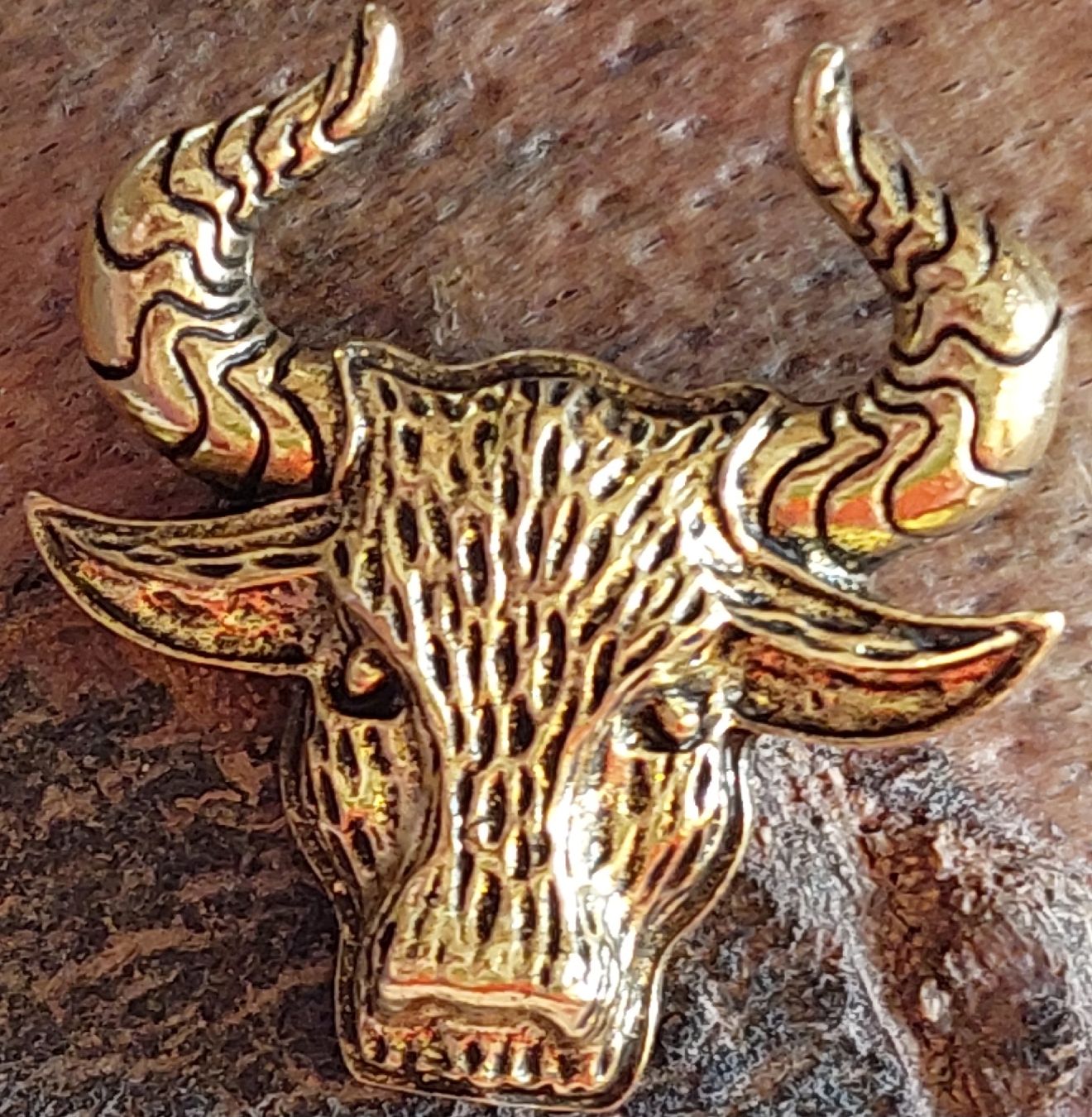 Broschen & Nadeln: Brosche Stier / Büffel / Muni mit Hörner, goldfarben – Neu (gemäss Beschreibung) aus Oberwil BL von Chewbacca184