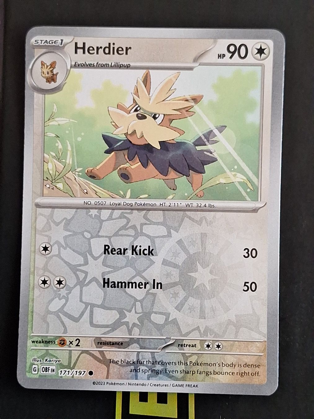Pokémon Carte collezionabili: Herdier - Pokemon Reverse Holo Obsidian Flames – Usato da Altstätten SG venduto da GGsGameshop