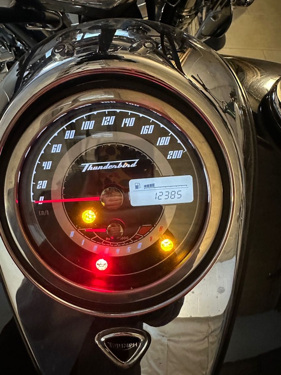 Chopper: TRIUMPH Thunderbird 1600 ABS (Wenig KM) – Usato da Rapperswil SG venduto da Yungfraaa 3