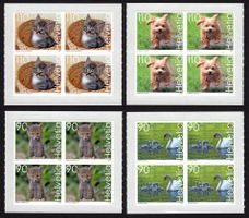 4 Viererblöcke Süsse Tiere** 2023