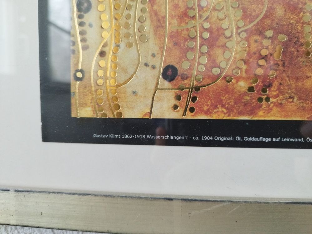 Gustav Klimt Wasserschlangen II Leinwandbild - 60x120cm Kunstdruck