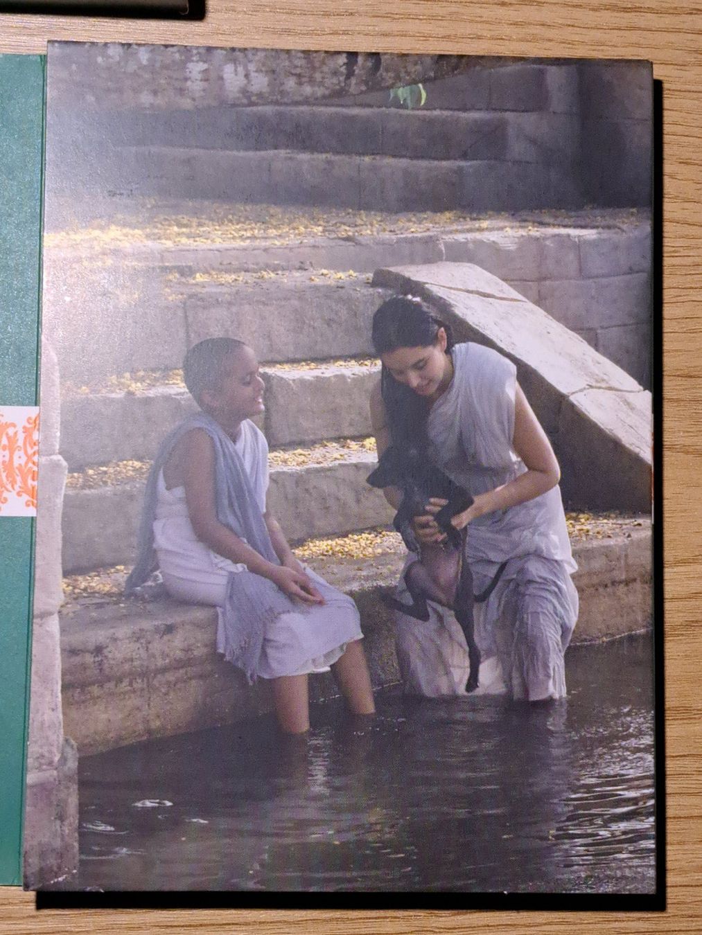 Tutti i DVDs: Deepa Mehta Collection: FIRE, EARTH, WATER, Boxset 3 Filmen – Nuovo (secondo la descrizione) da Unterseen venduto da Kanica 7