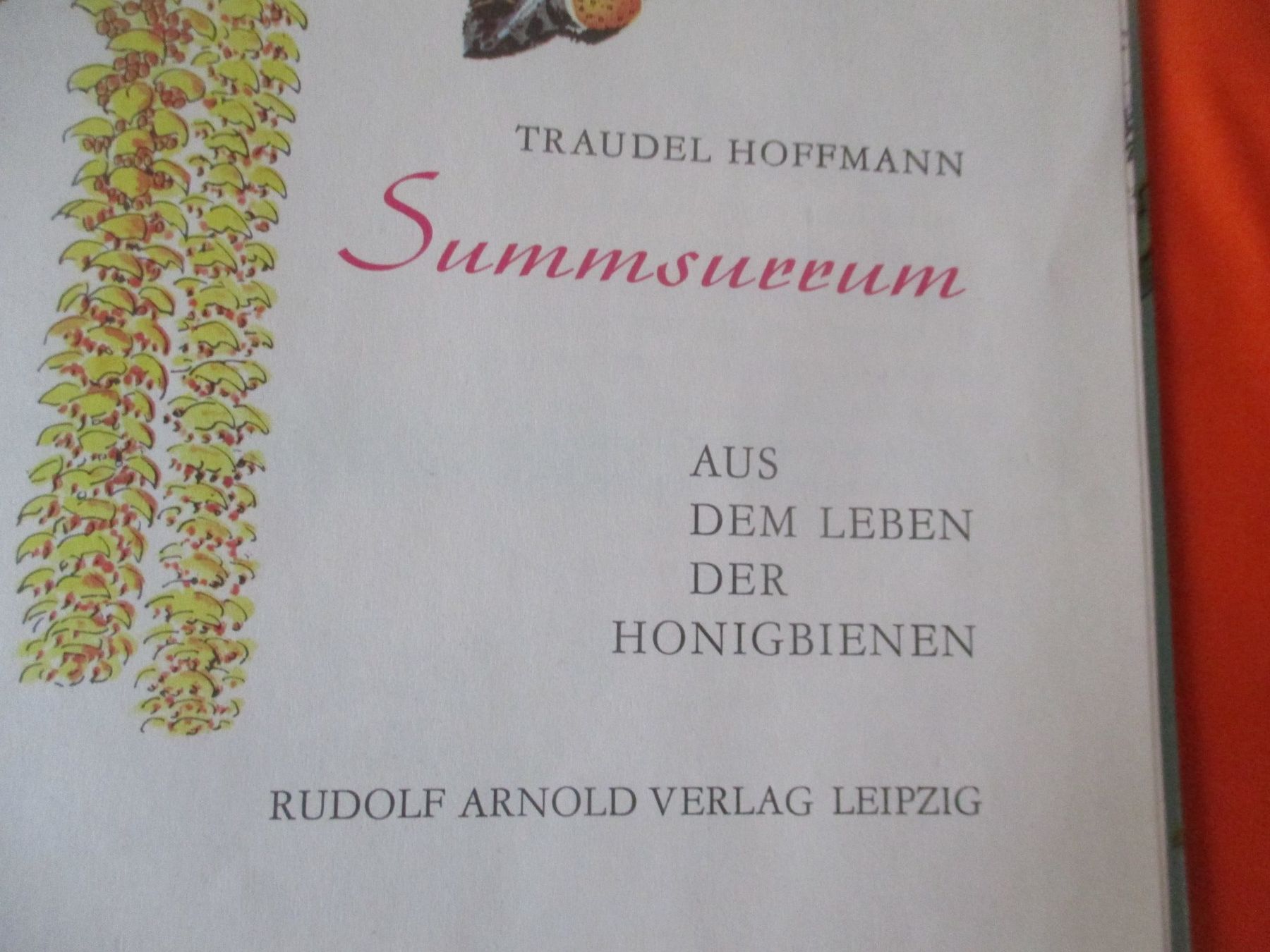 Bücher: Bilderbuch Summ Surrum, Traudel Hoffmann, DDR – Gebraucht aus Birsfelden von alles-muss-raus 1