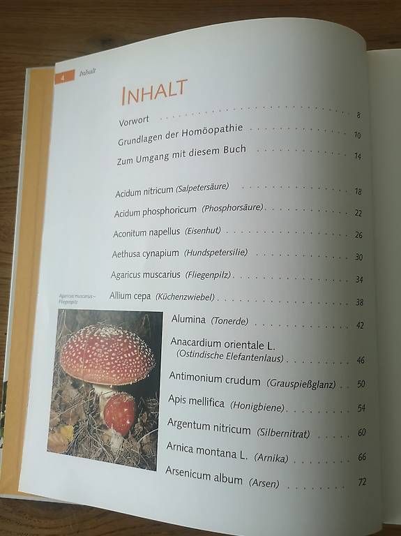 Libri: Handbuch der Homöopathie – Usato da Rothenburg venduto da Priska_70 1