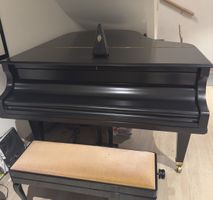 Piano à queue FEURICH noir de 1928