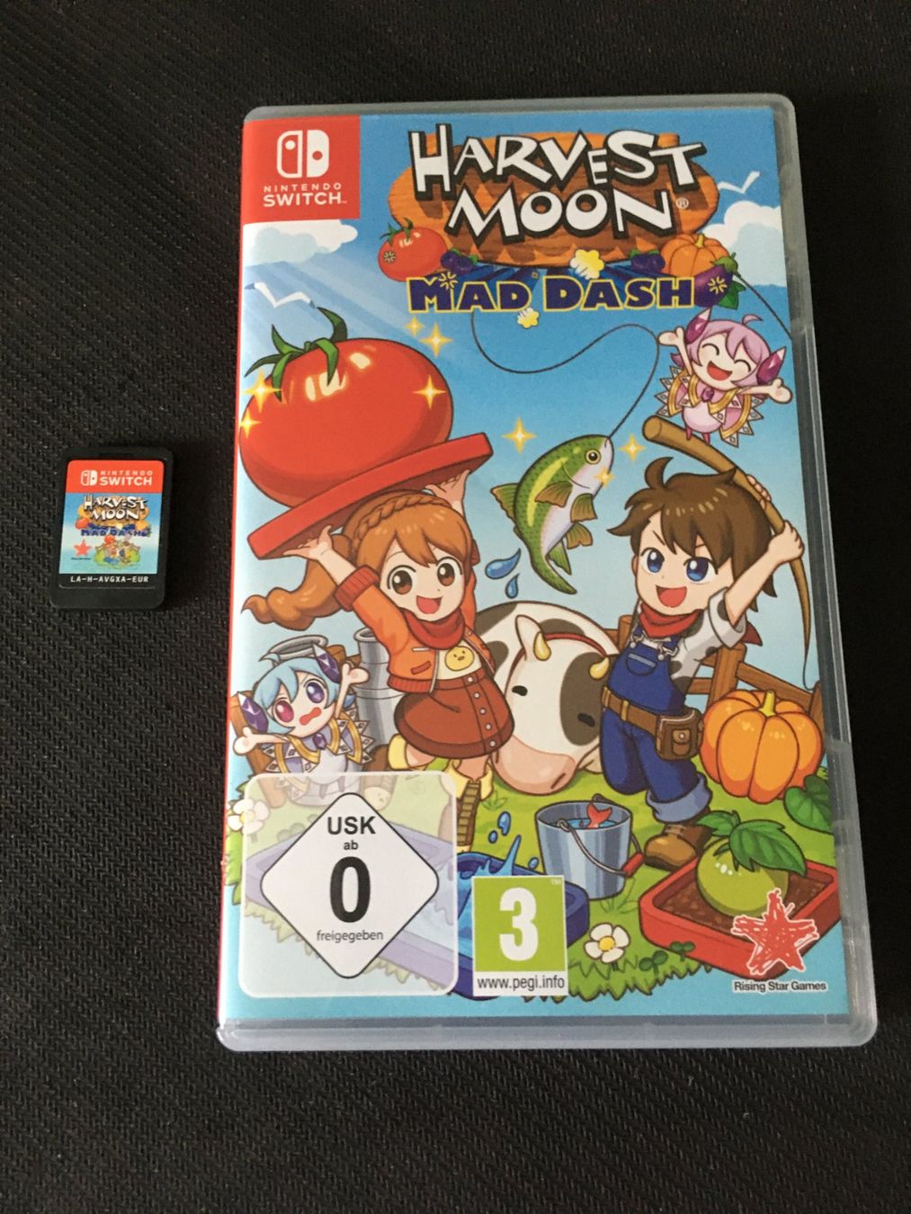 Nintendo Giochi: Harvest Moon - Mad Dash - Nintendo Switch – Usato da St.Gallen venduto da sjosjo