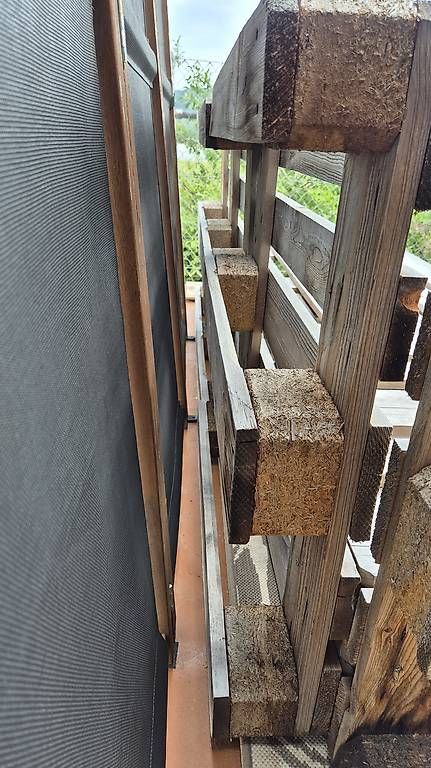 Pallets: Paletten – Usato da Unterentfelden venduto da Laric26 1