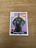 Panini WM26 Extra Stickrt Caicedo