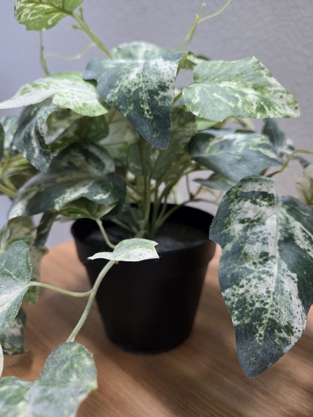 Plantes & graines: 2x Artificial Plants – D'occasion à Horgen par Hunninko 3