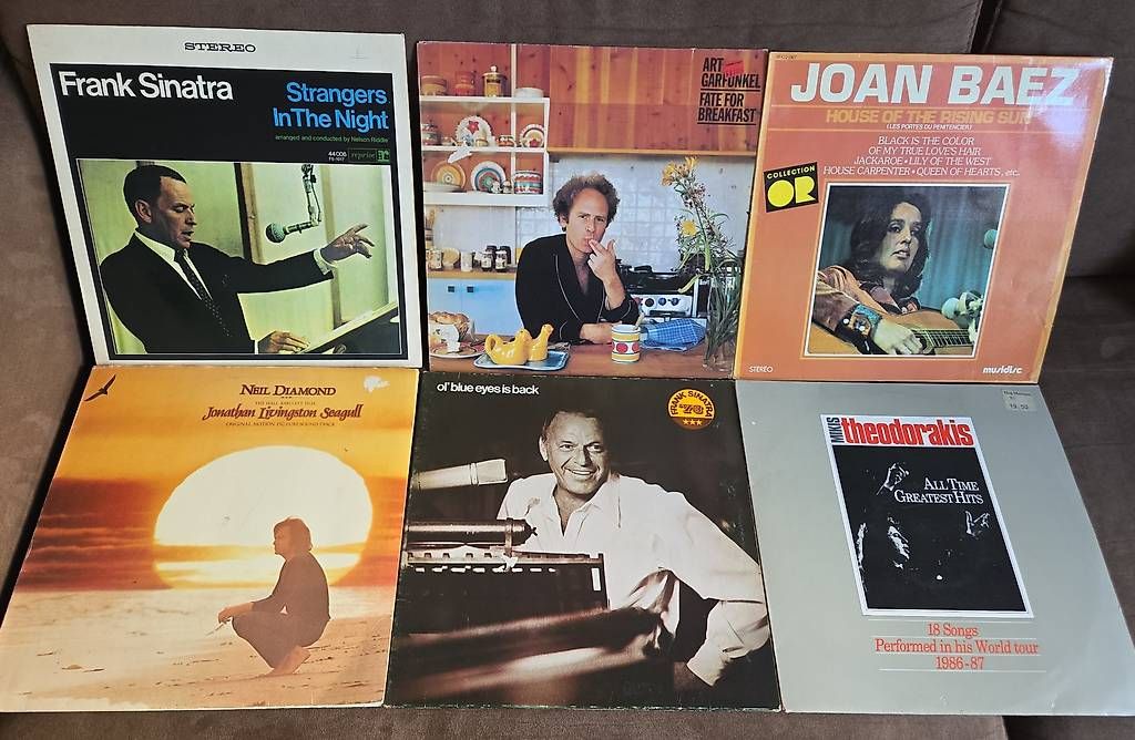 Dischi in vinile: Sinatra, Joan Baez, Neil Diamond  6 vinili vari – Usato da Locarno venduto da bru_st25