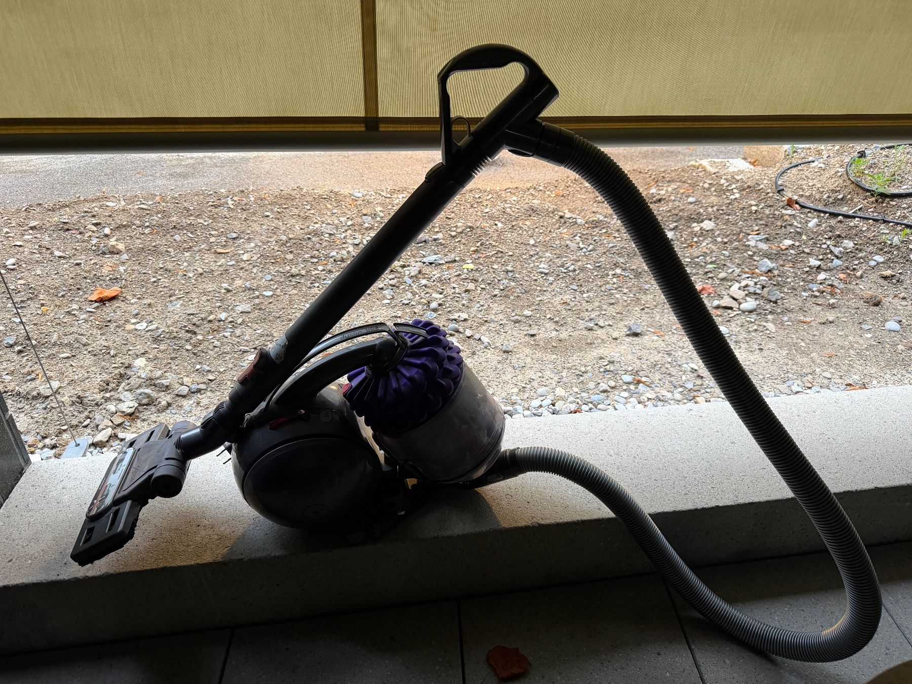 Dyson Aspirapolveri & Accessori: Dyson DC52 – Usato da Zürich venduto da Dani8057