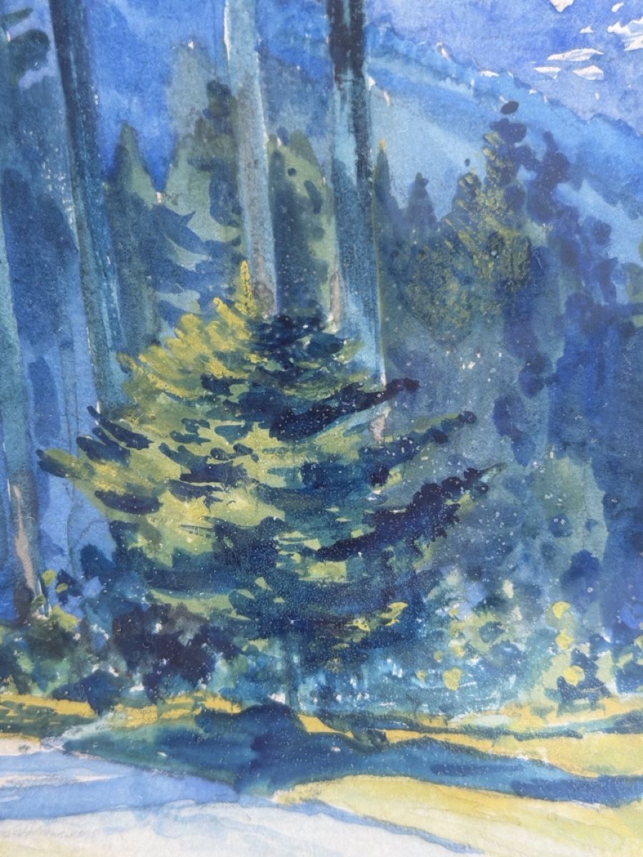 Dipinti: Aquarell antik, signiert – Usato da Biberist venduto da Momo33 2