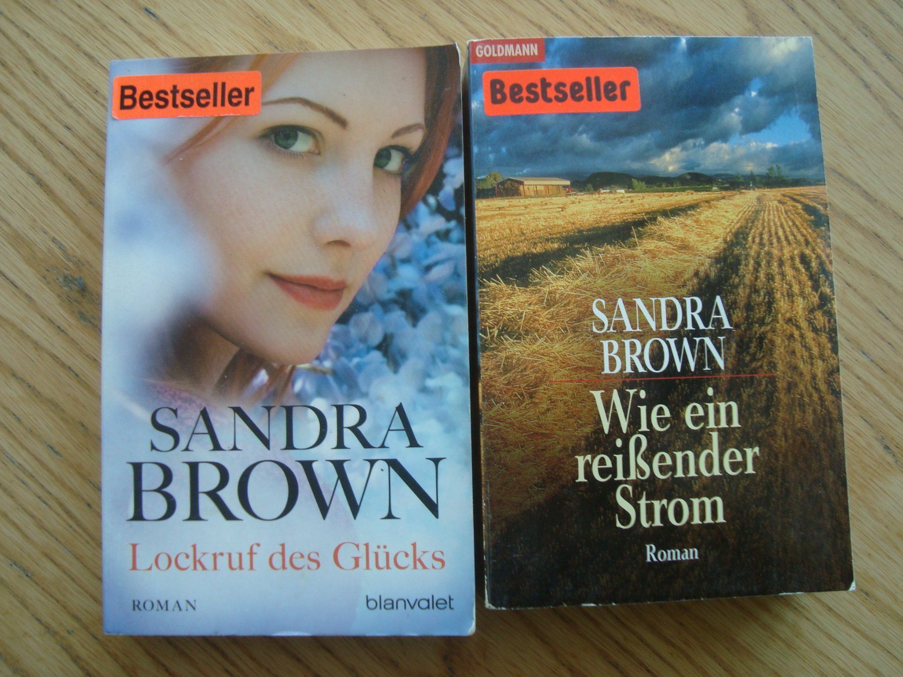 Libri: Sandra Brown (2 Bücher) – Usato da Aesch LU venduto da wysshan