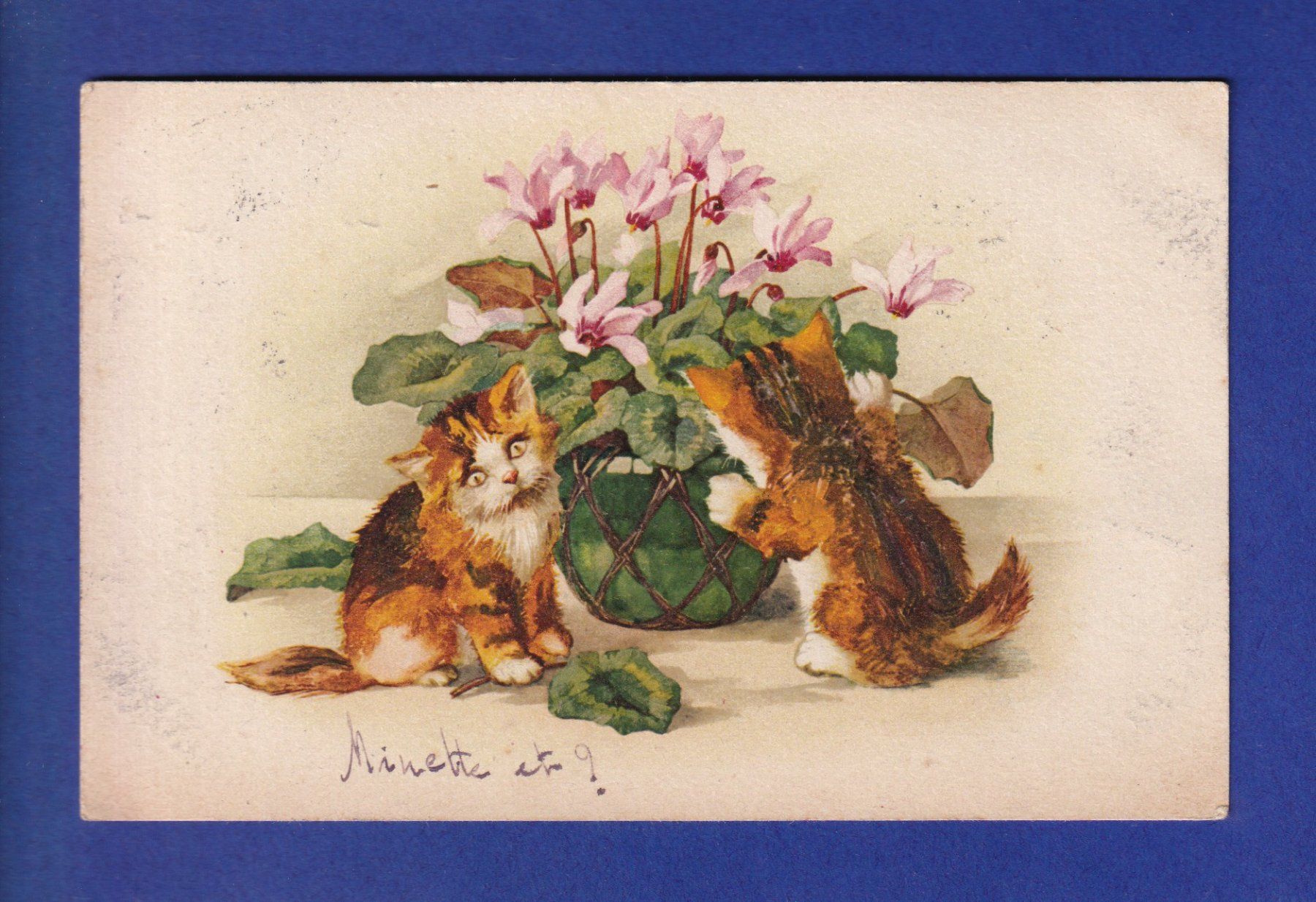 Ansichtskarten: CHAT - Chatons et plante – Gebraucht aus Pully von nicecards-shop