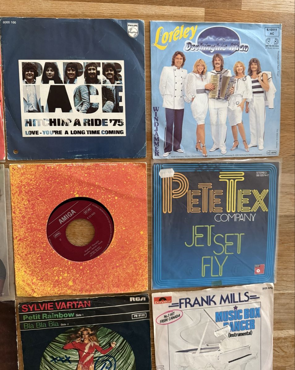 Schallplatten: Single Schallplatten Sammlung – Gebraucht aus Goldach von Messerguru 2