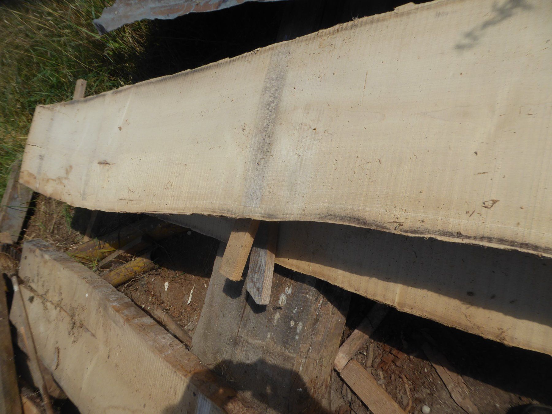 Articoli in legno: Eschenbrett 6 cm – Usato da Sumiswald venduto da Hennri1 1
