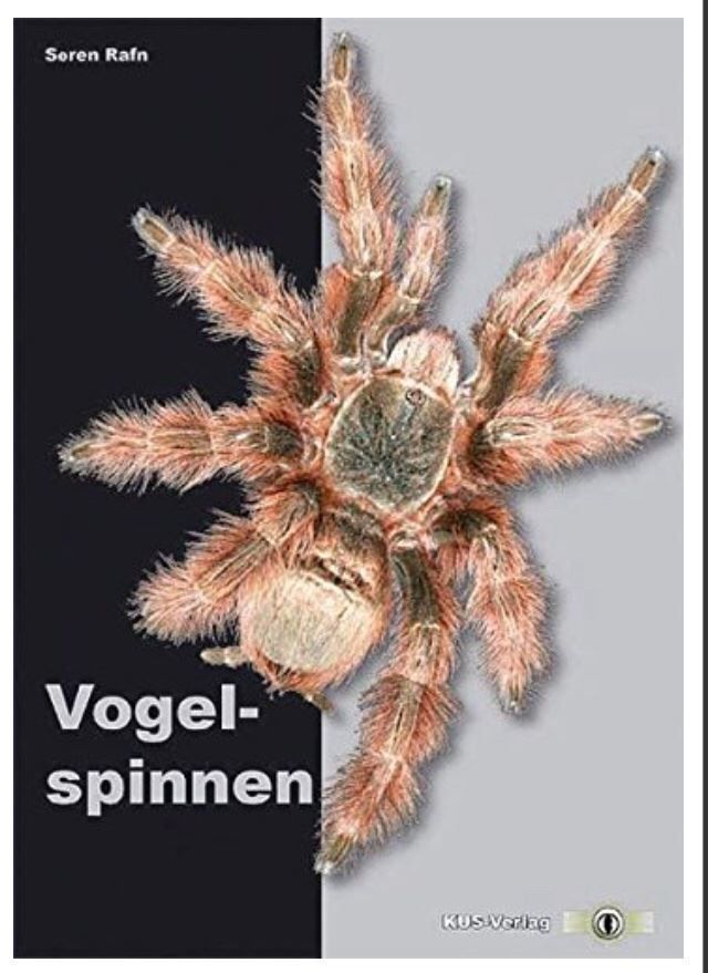 Libri: Vogelspinnen – Usato da Gerlikon venduto da jabadabadu