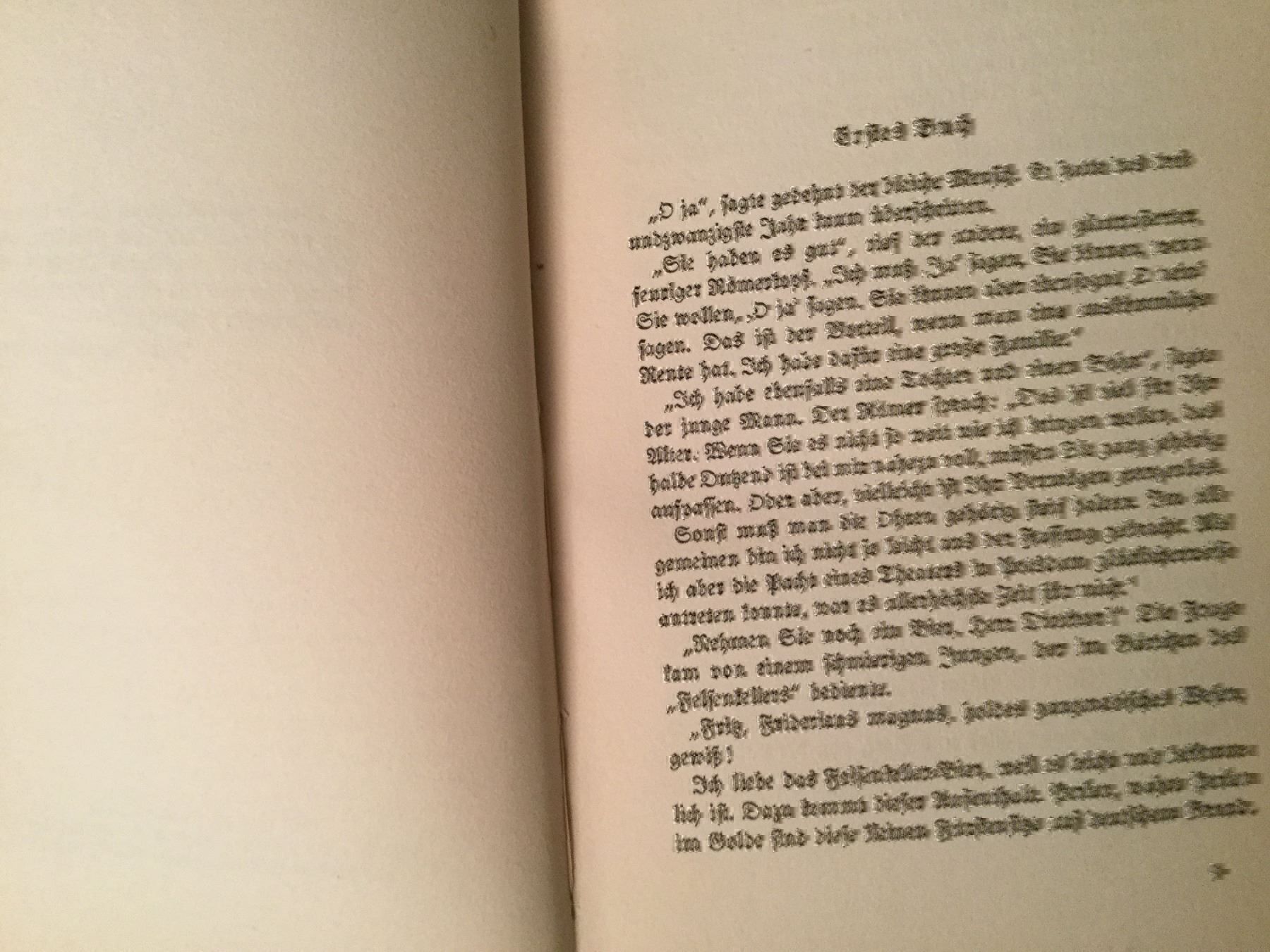 Libri: Gerhart Hauptmann - Im Wirbel der Berufung – Usato da Luzern venduto da Einh0rn 4