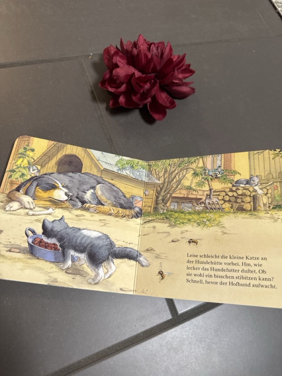 Libri: Was machst du, kleine Katze Kinderbuch – Usato da Zürich venduto da Belisimo 4