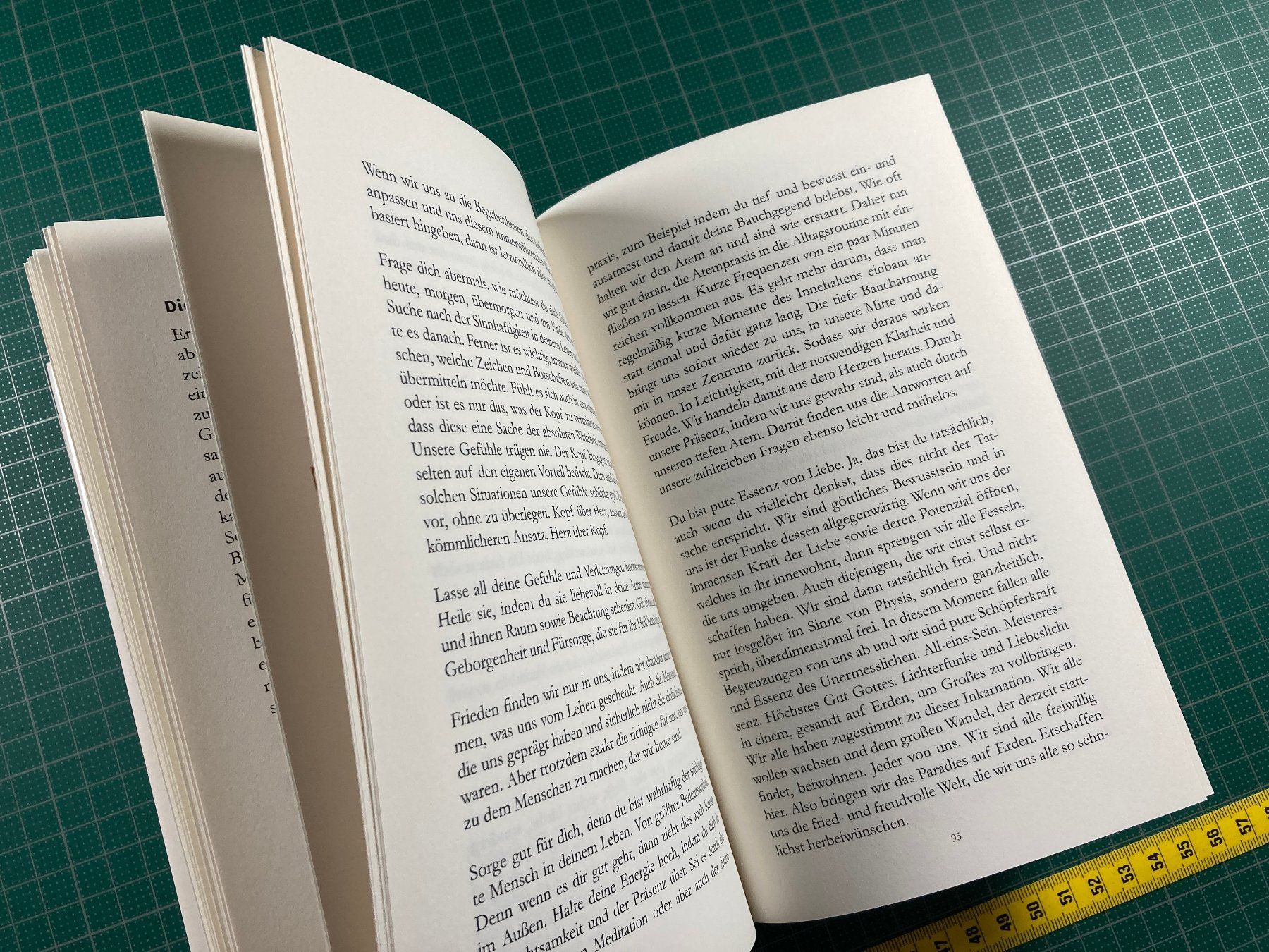 Bücher: Barbara Michaela Tanner: Lasse los, sei und werde – Gebraucht aus Lenzburg von fh1 7