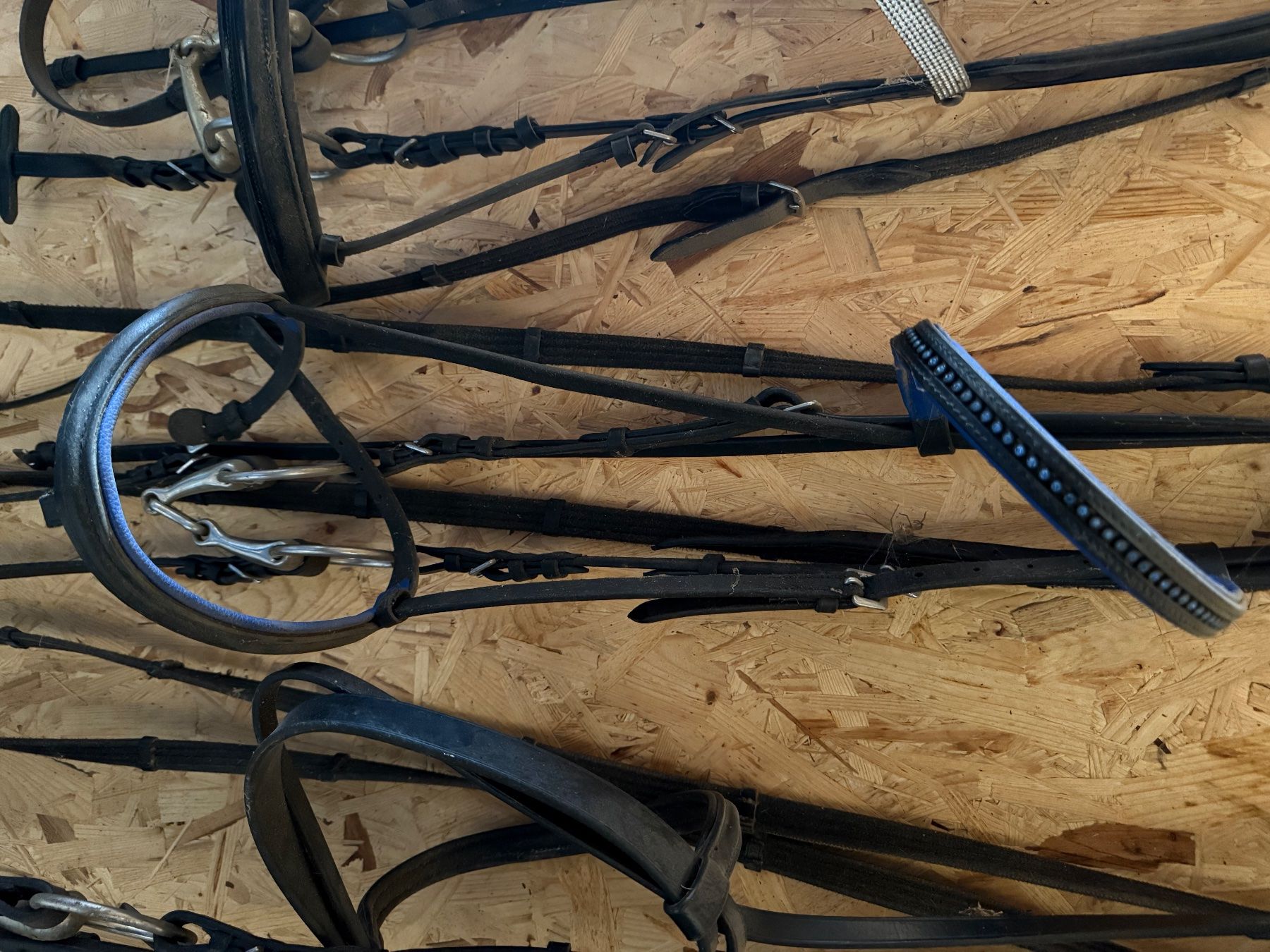 Selle & Accessori: Diverses Pferde zubehör – Usato da Zollbrück venduto da yan_k28r 8