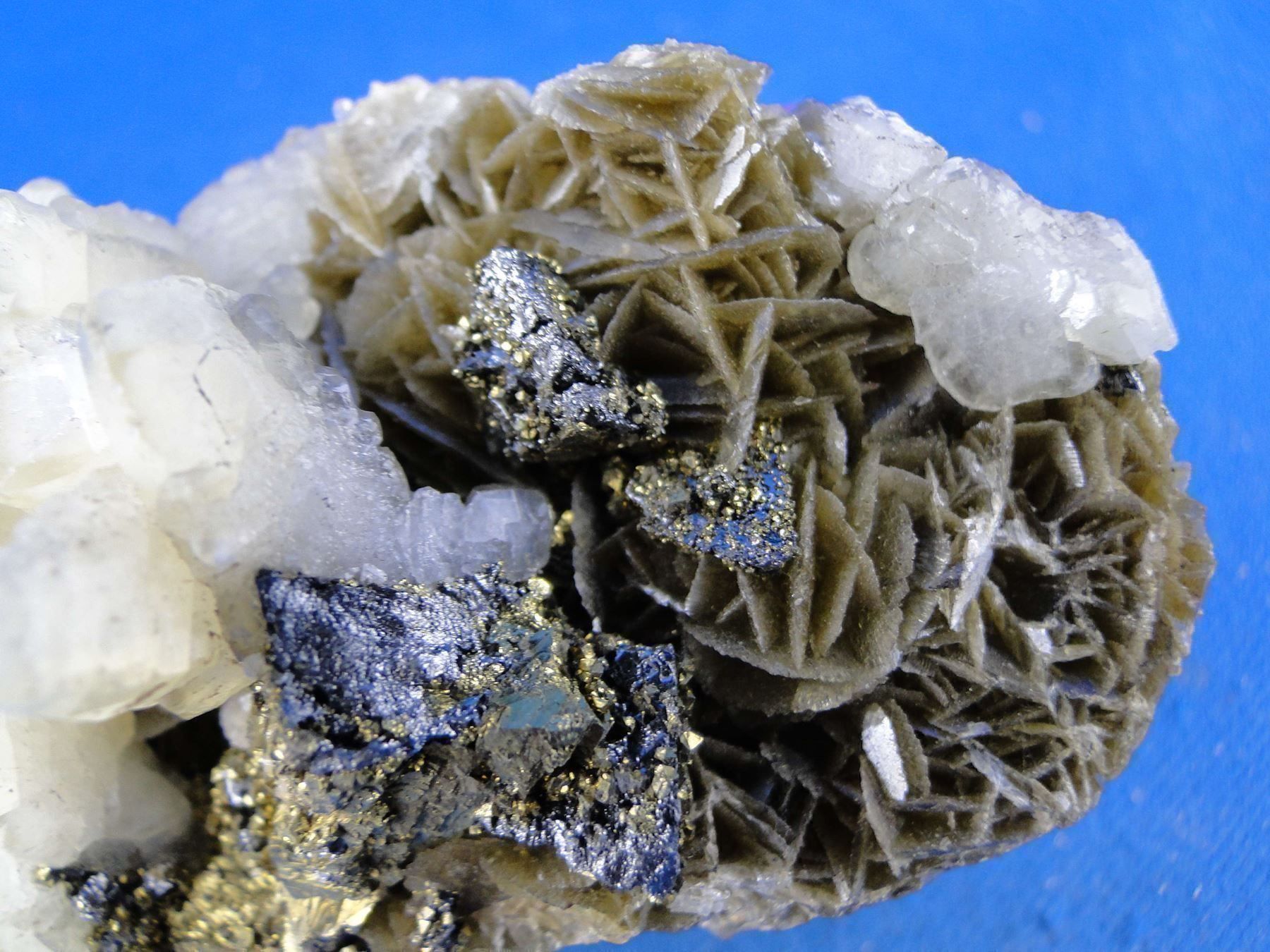 Mineralien & Heilsteine: Tetrahedrit mit Chalkopyrit und Calcit – Gebraucht aus Schinznach Bad von Demerald 5