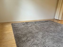 Schöner Teppich H.Braun ca. 240x340cm, 8180 Bülach