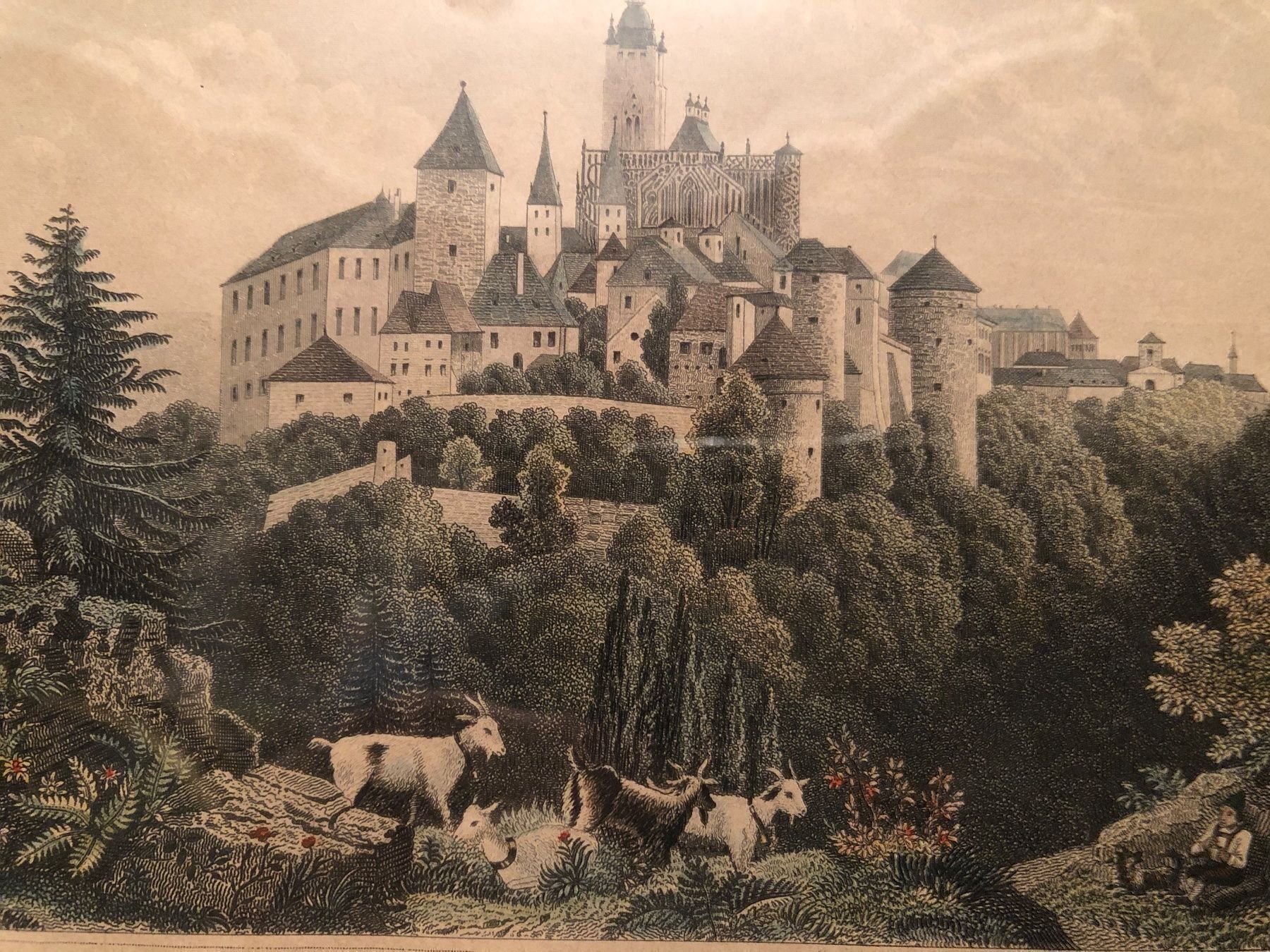 Foto & Immagini: DER HRADSCHIN in PRAG. FARBLITHOGRAPHIE. – Usato da Wald ZH venduto da mlnt