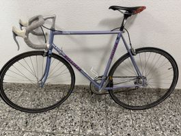 Rennvelo Villiger Starting lila gebrauchter Zustand
