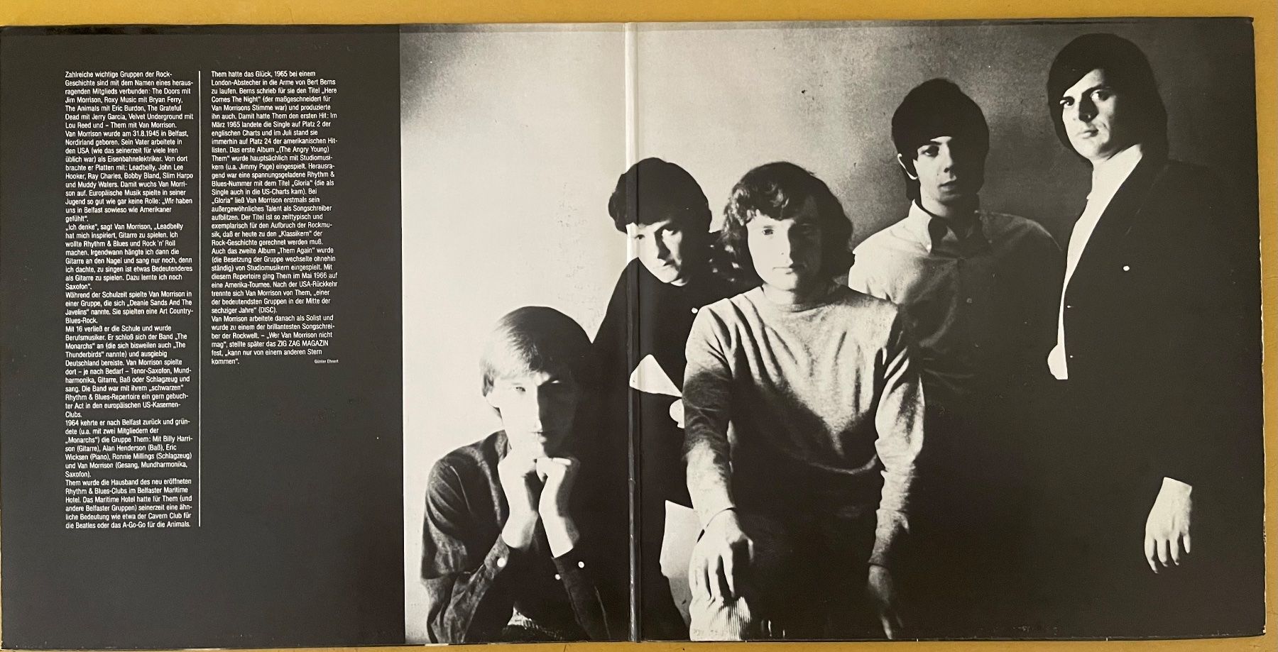 Schallplatten: THEM Featuring Van Morrison - 2LP's – Gebraucht aus Bern von hippoism 2