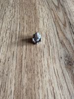 Pandora Charm