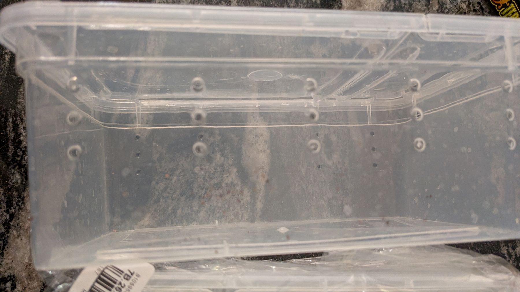 Gabbie, trasporto & Sicurezza: Transport Box Transparent  – Nuovo e nell'imballaggio originale da Wattenwil venduto da karinschaw 1