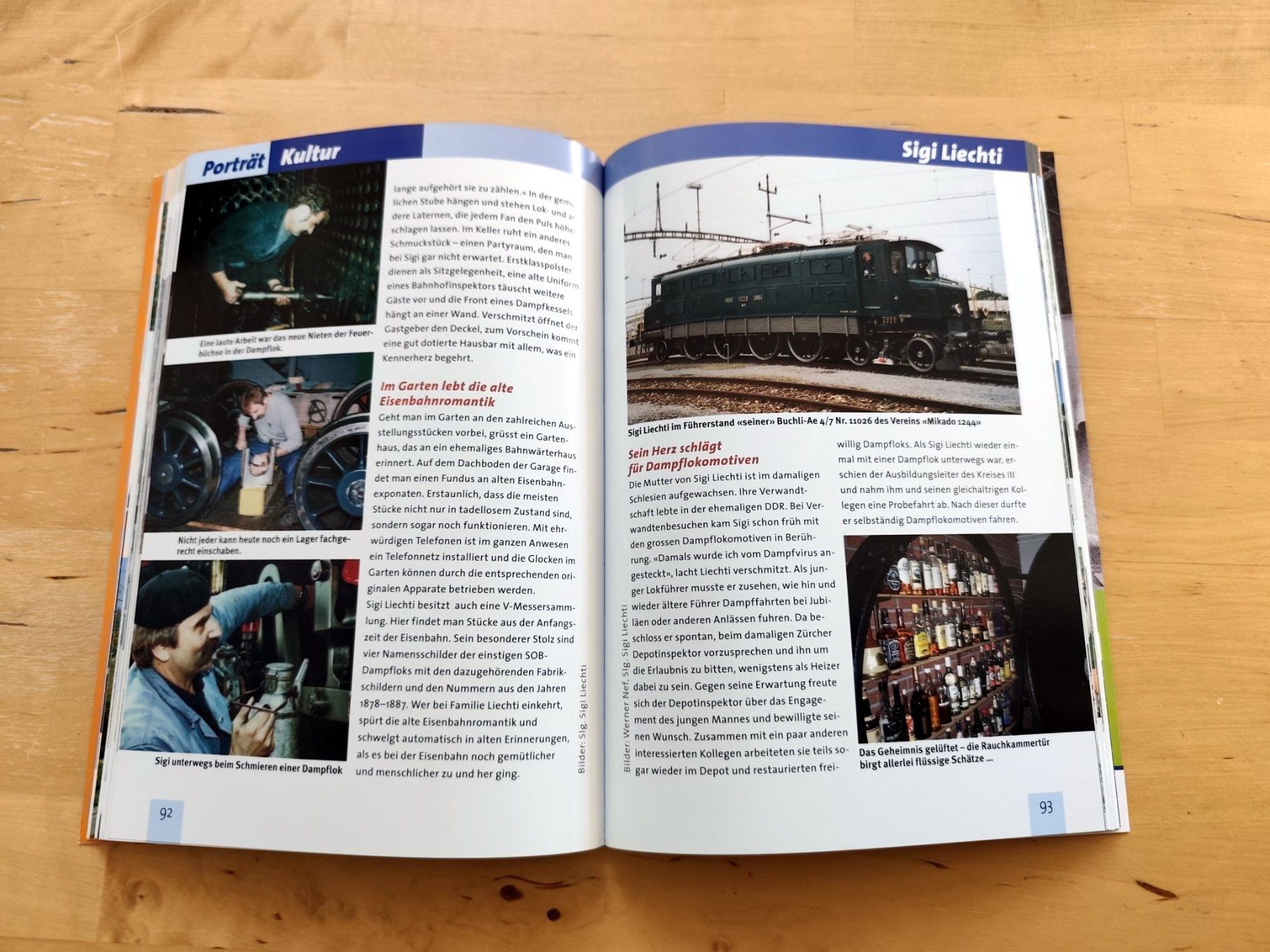 Libri: Bahn Jahrbuch Schweiz 2013 – Usato da Birrwil venduto da dirtyoldtown 7